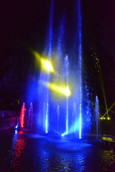 DSC_7048 (Large).JPG